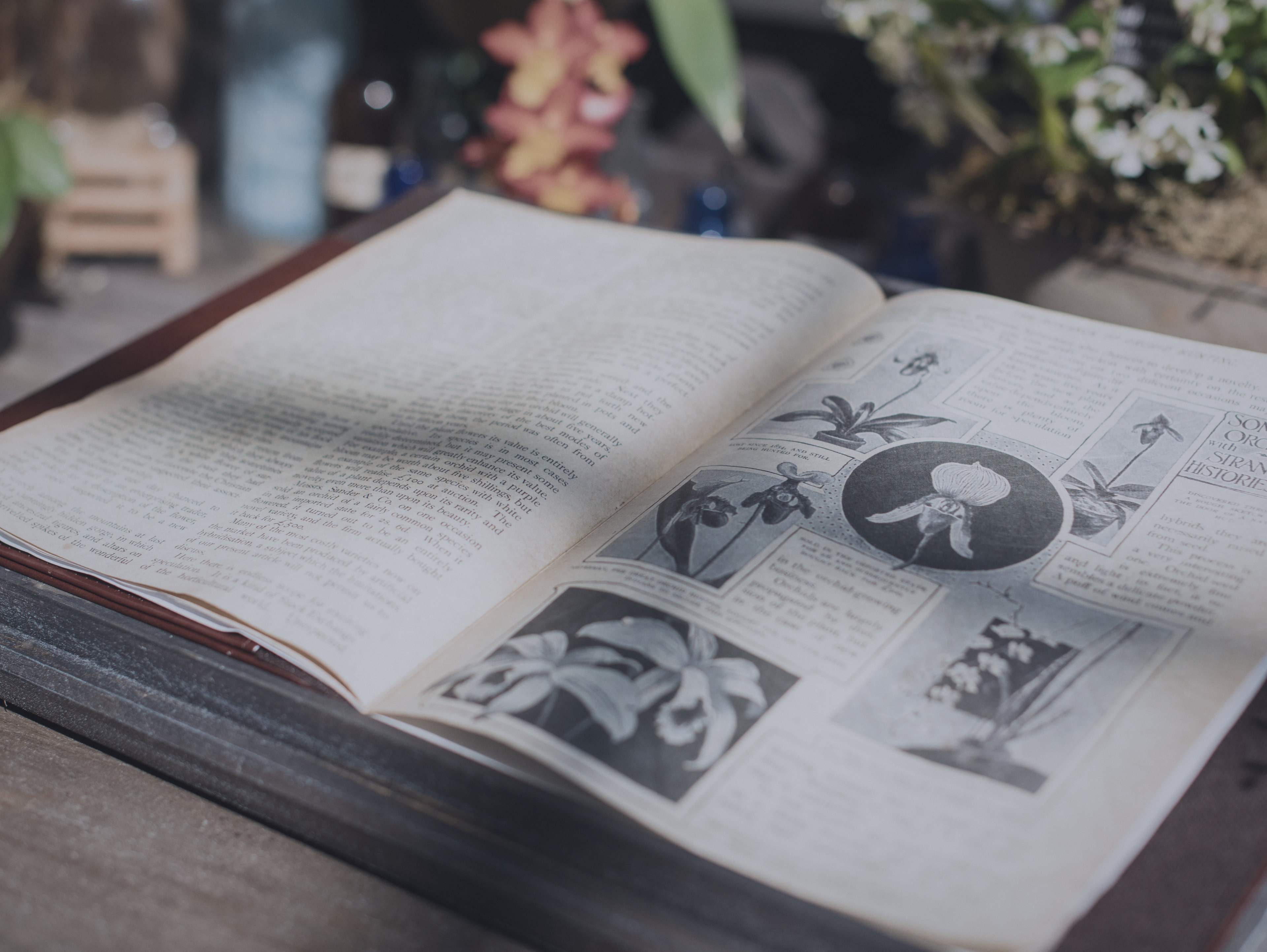 An old illustrated book lying open on a wooden desk